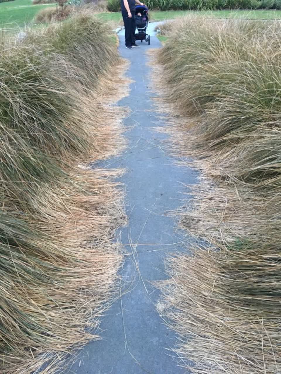 The photograph attached to this parks report