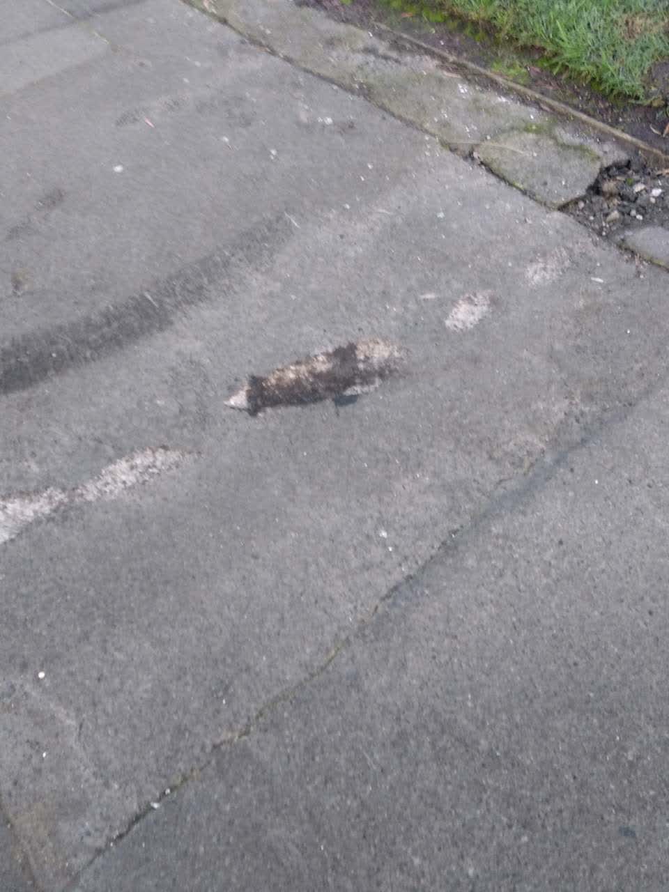 The photograph attached to this roading/streets report