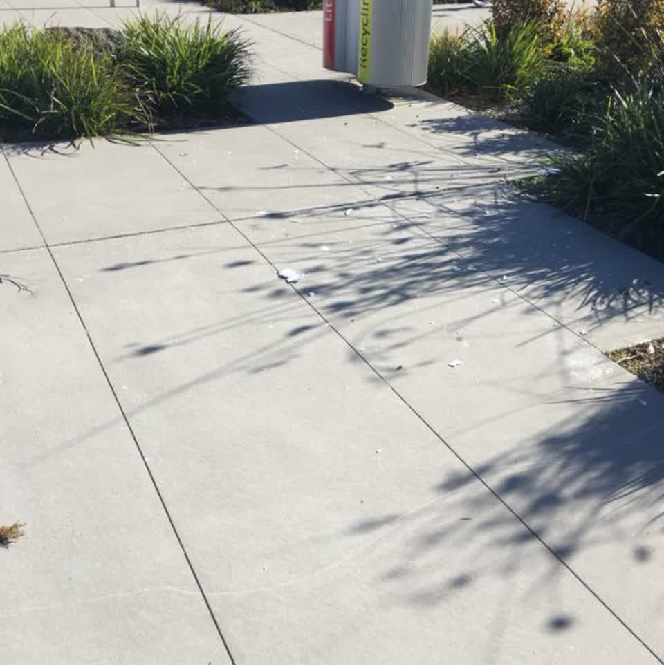 The photograph attached to this parks report