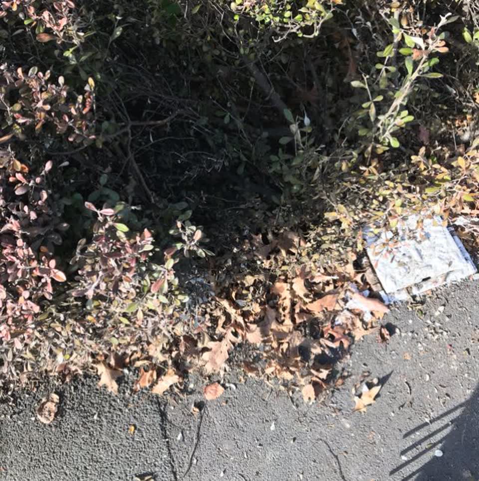 The photograph attached to this water supply report
