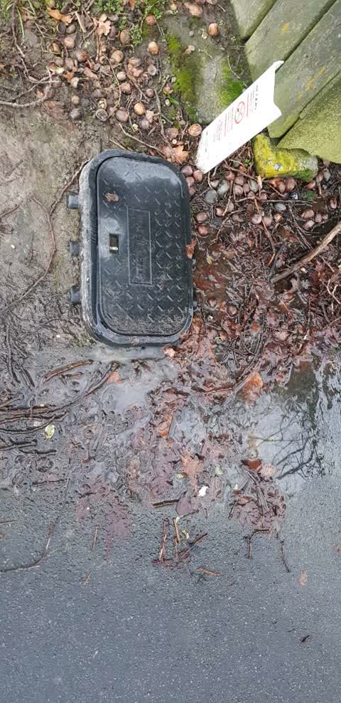 Water Supply, a report photo