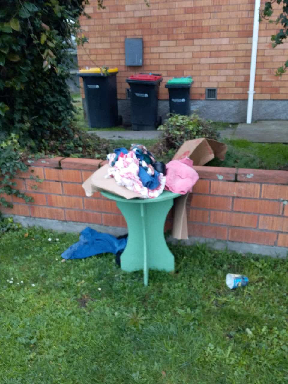 The photograph attached to this rubbish/recycling report