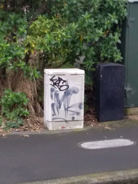 Graffiti, a report photo