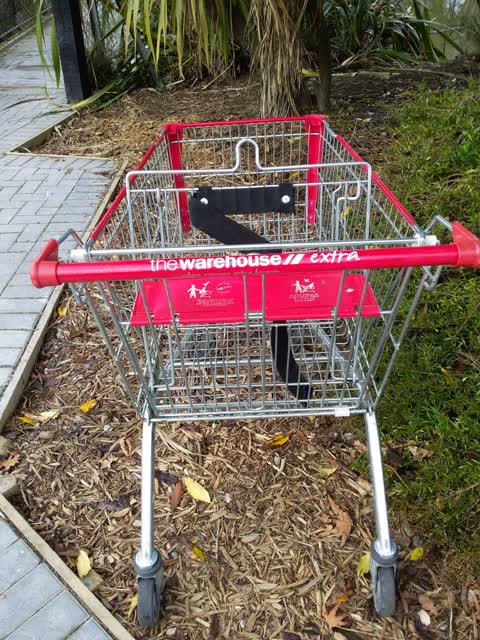 Rubbish/Recycling — a report photo