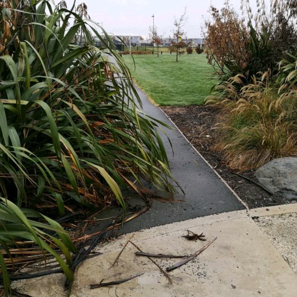 The photograph attached to this parks report