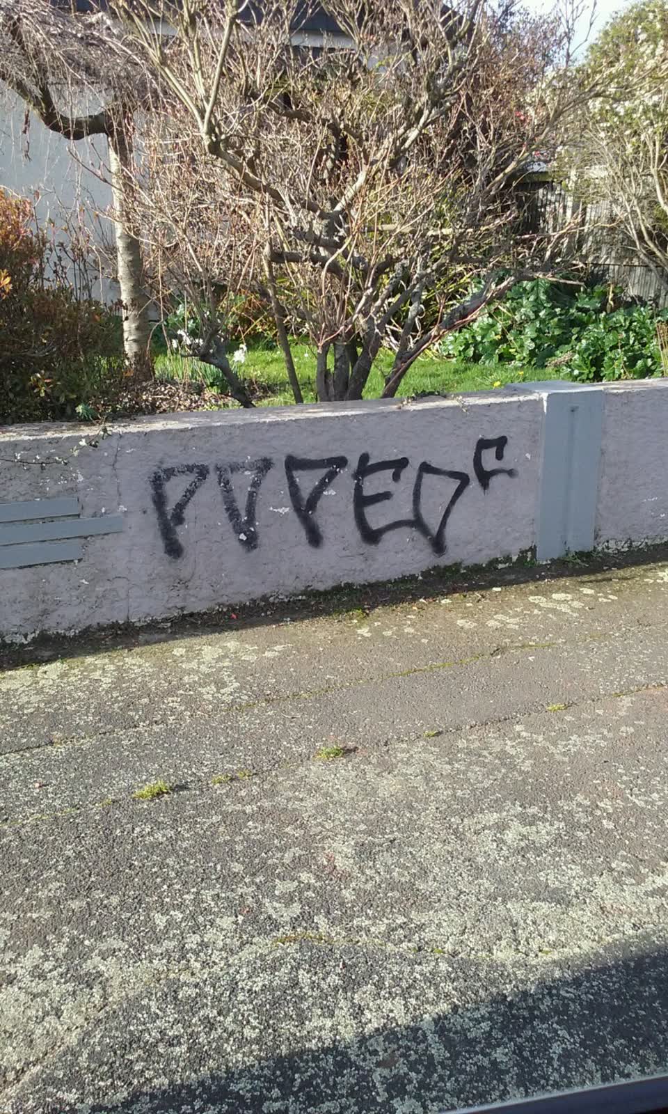 The photograph attached to this graffiti report
