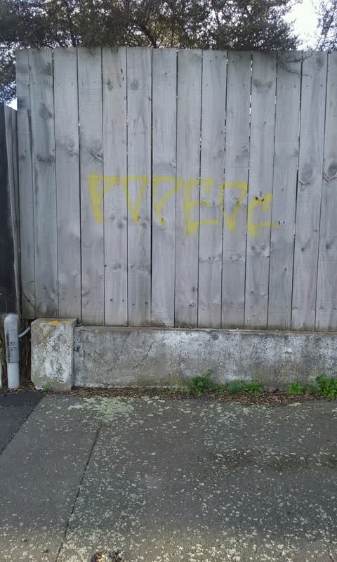 Graffiti, a report photo