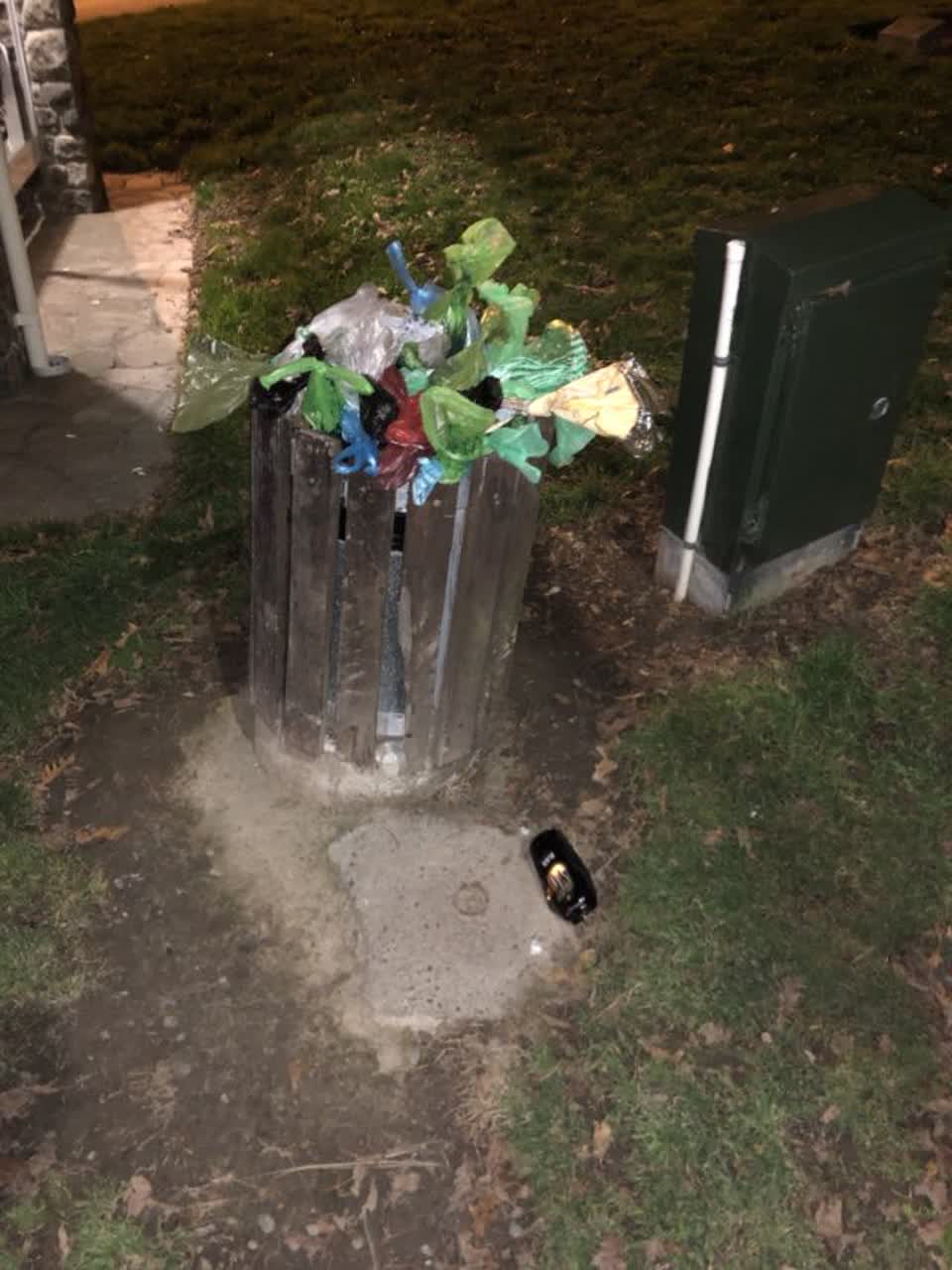 The photograph attached to this rubbish/recycling report