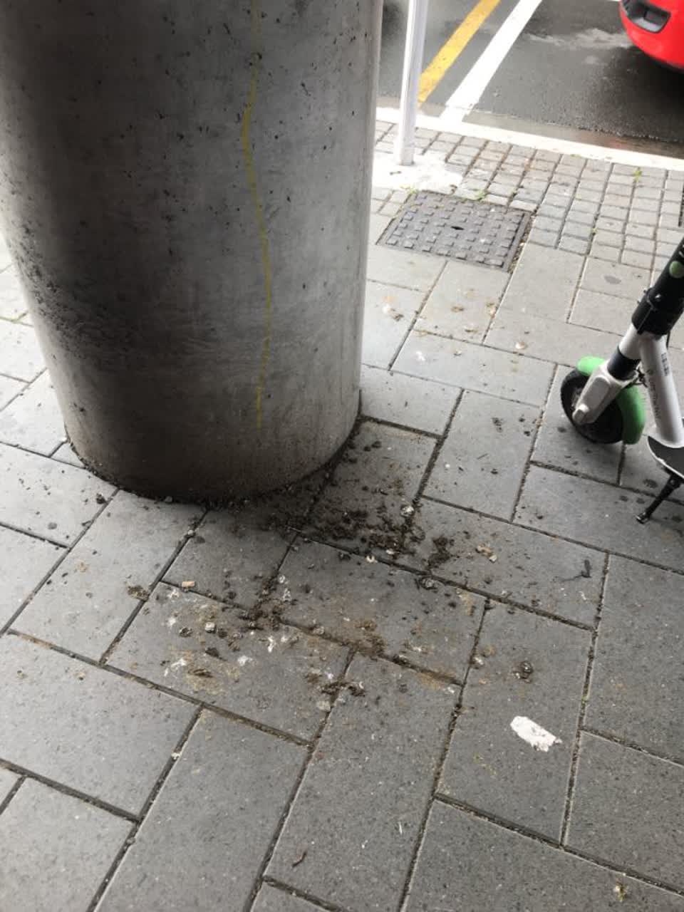The photograph attached to this rubbish/recycling report