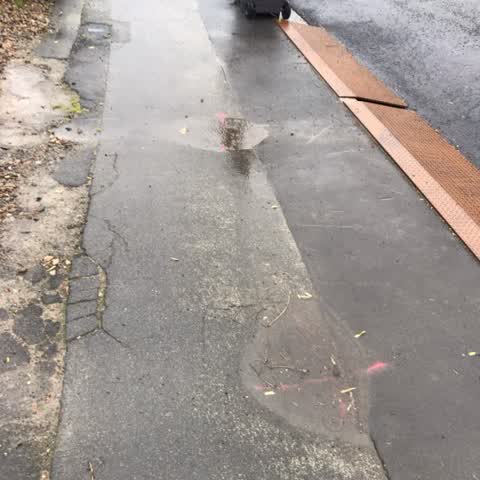 Roading/Streets, a report photo