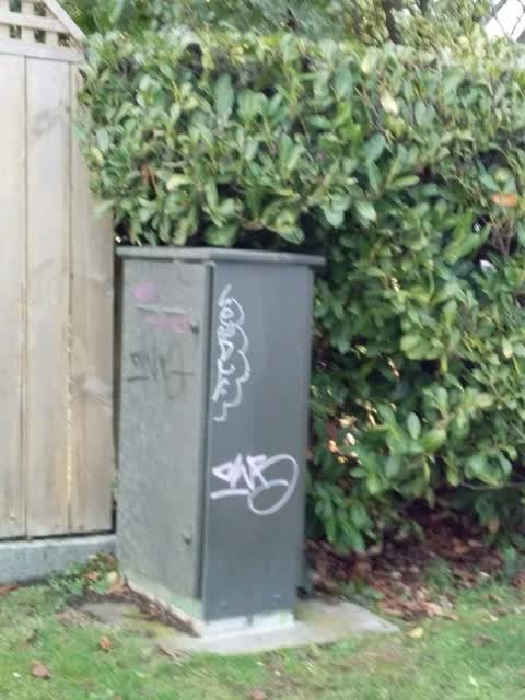 Graffiti, a report photo