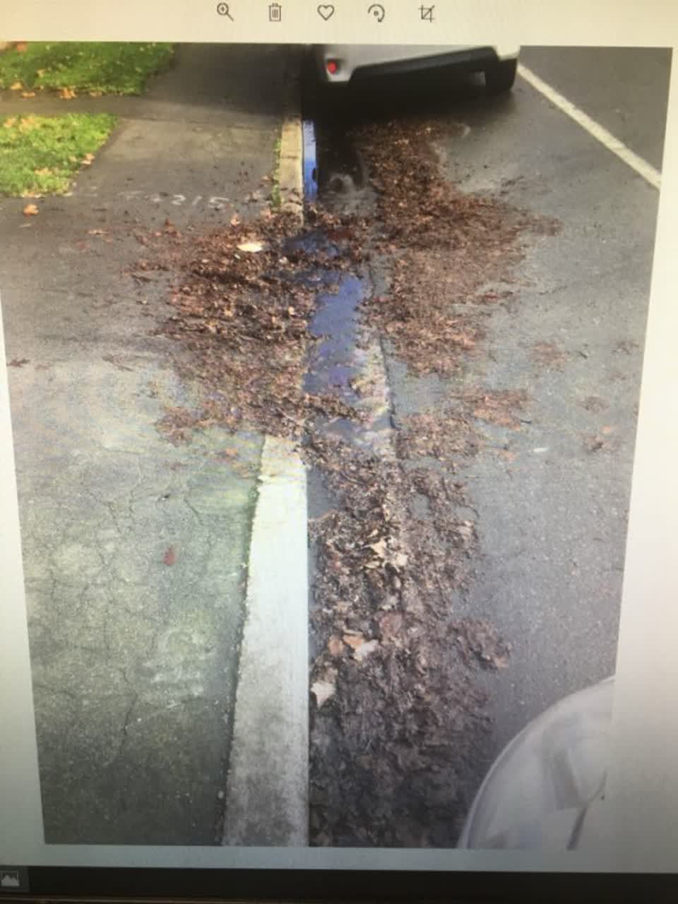 The photograph attached to this roading/streets report