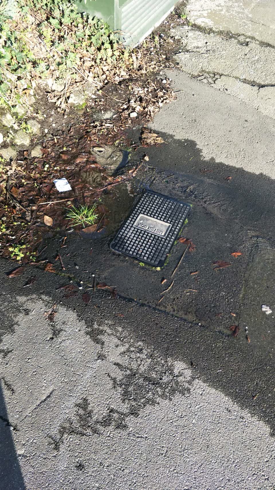 The photograph attached to this water supply report