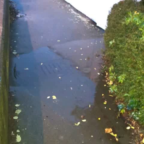 Flooding, a report photo