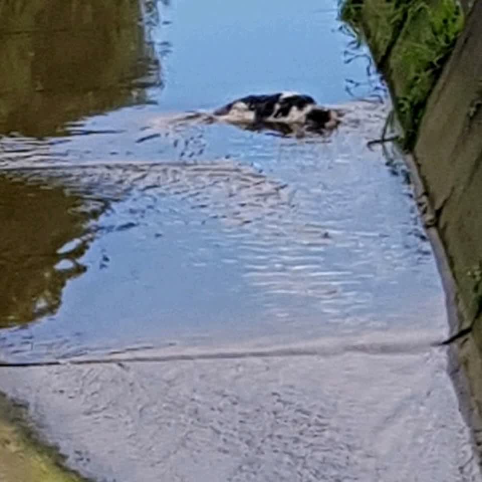 The photograph attached to this water supply report