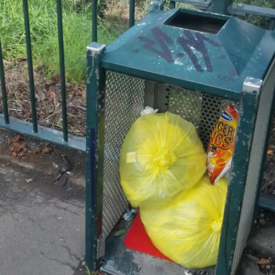 The photograph attached to this rubbish/recycling report