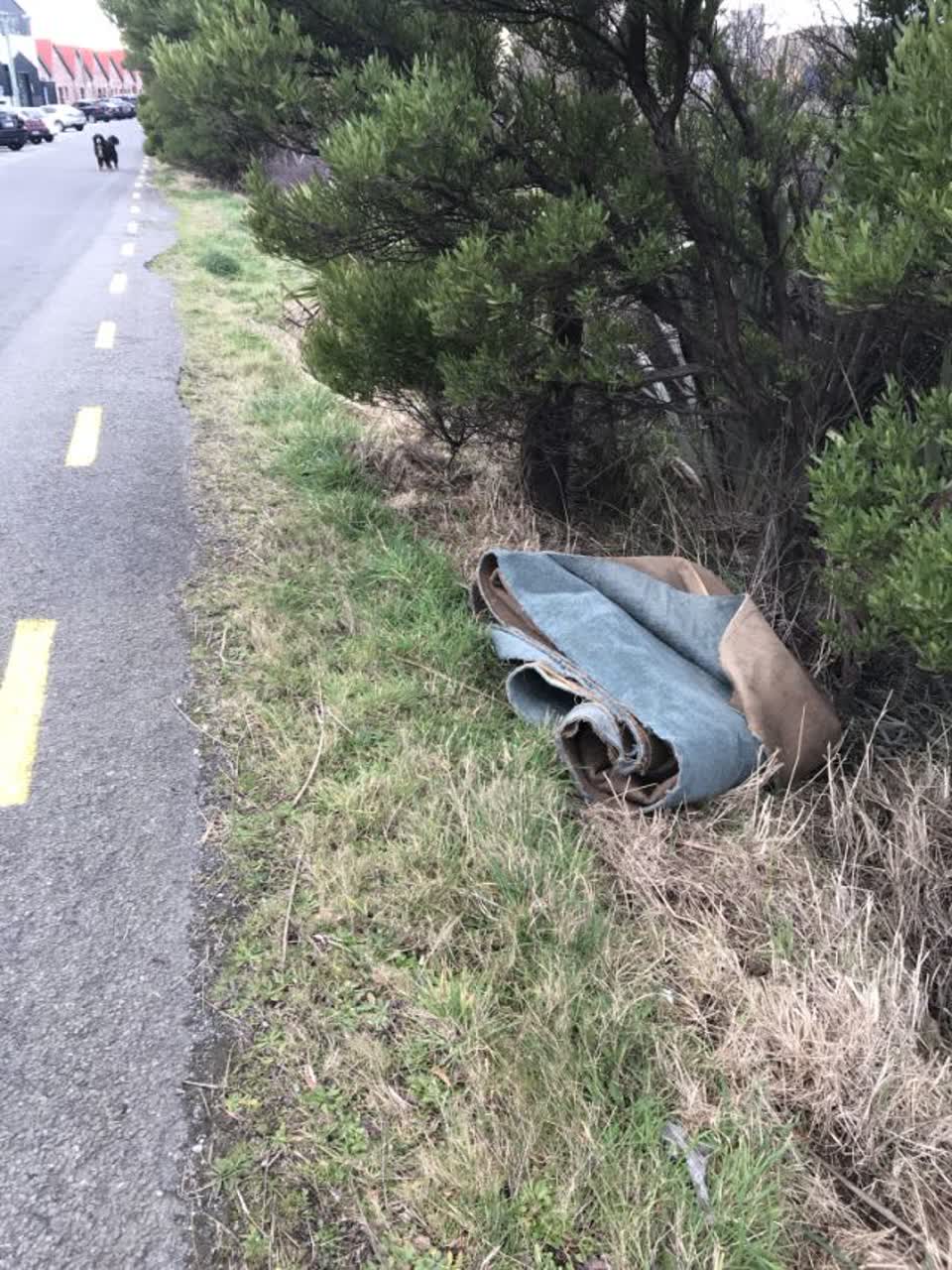 The photograph attached to this rubbish/recycling report