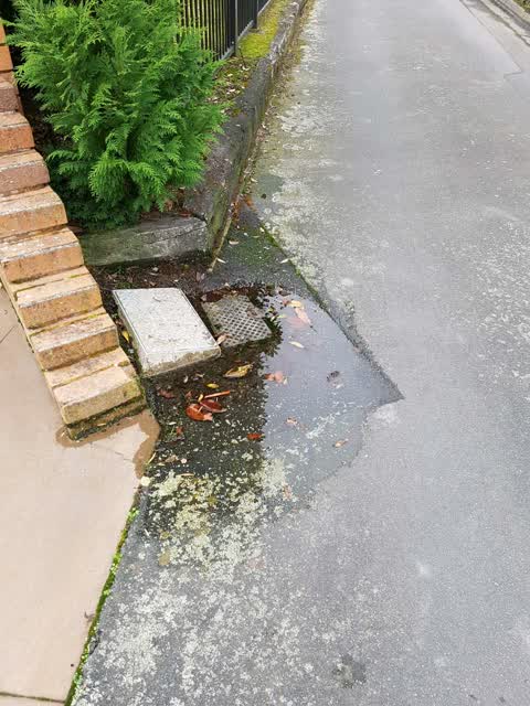 Water Supply, a report photo