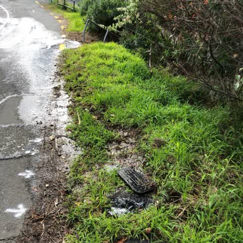 Water Supply, a report photo