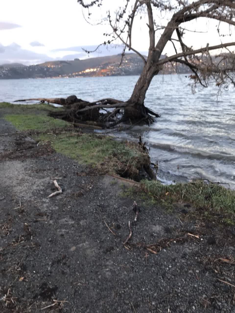 The photograph attached to this parks report