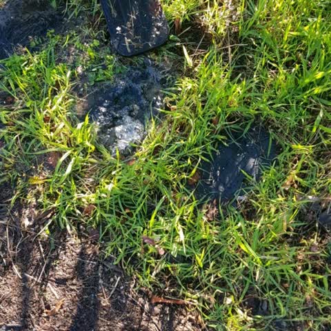Water Supply, a report photo