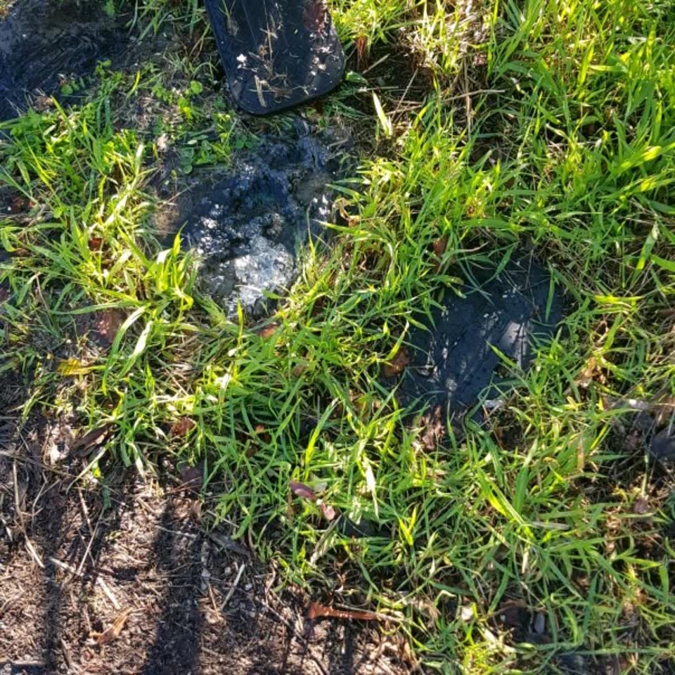 The photograph attached to this water supply report