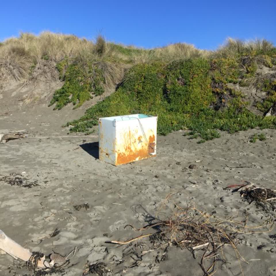 The photograph attached to this parks report
