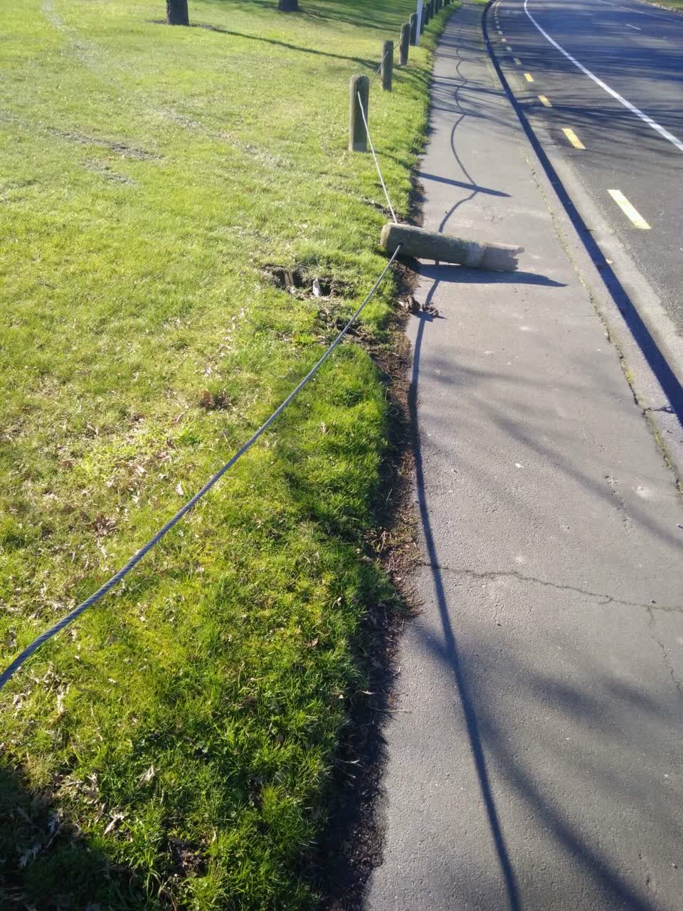 The photograph attached to this parks report
