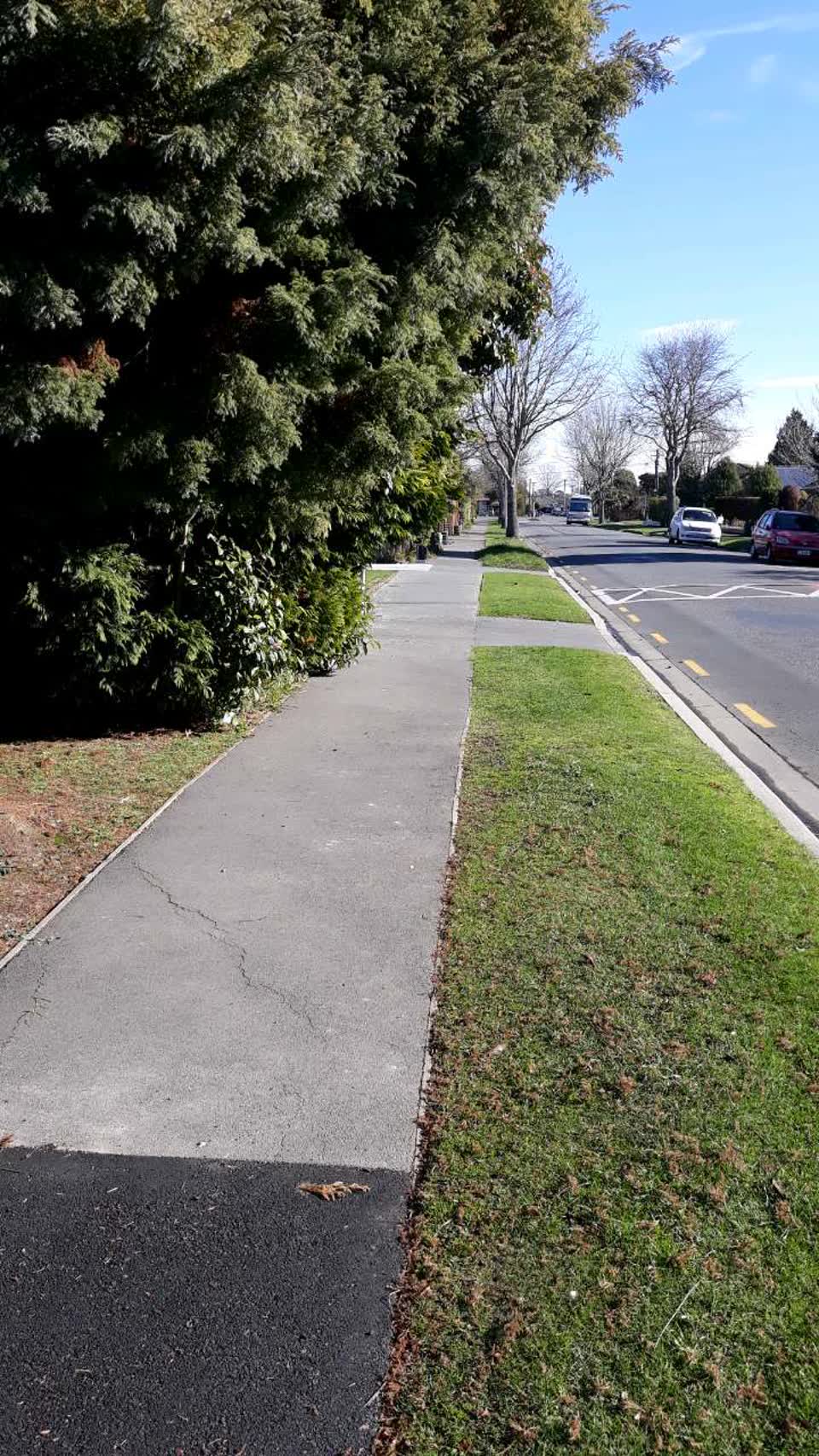 The photograph attached to this roading/streets report