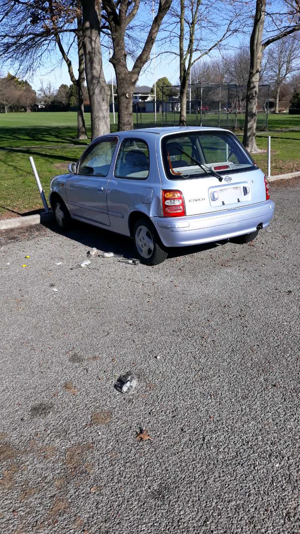 The photograph attached to this parks report