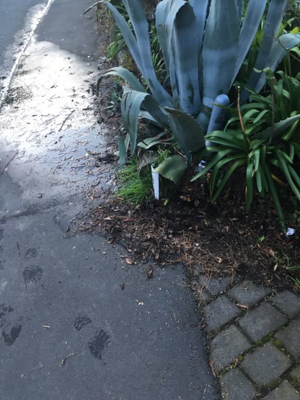 The photograph attached to this water supply report