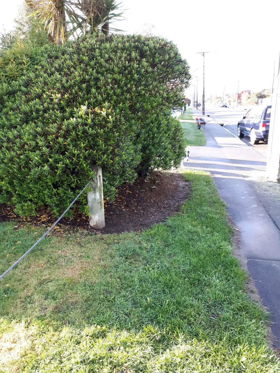 The photograph attached to this parks report