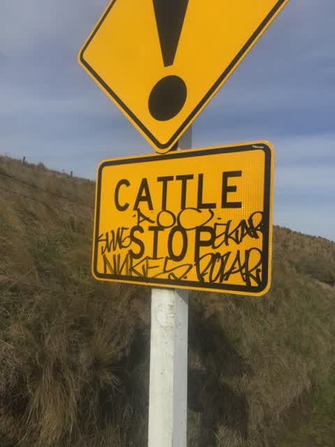 Graffiti, a report photo