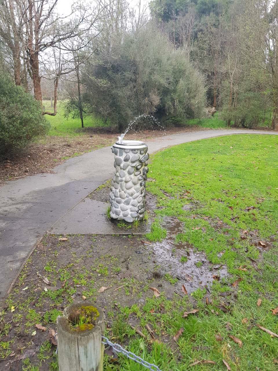 The photograph attached to this parks report