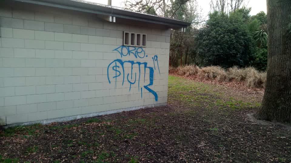 The photograph attached to this graffiti report