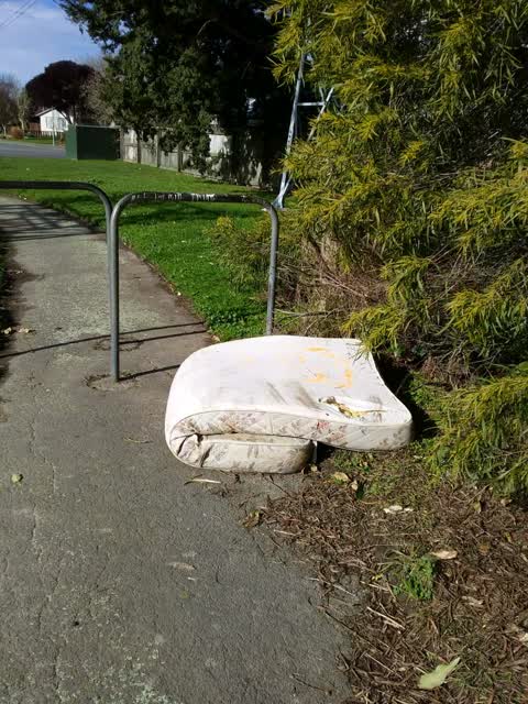 Rubbish/Recycling — a report photo