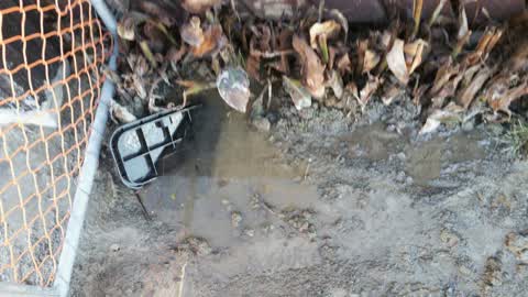 Water Supply, a report photo