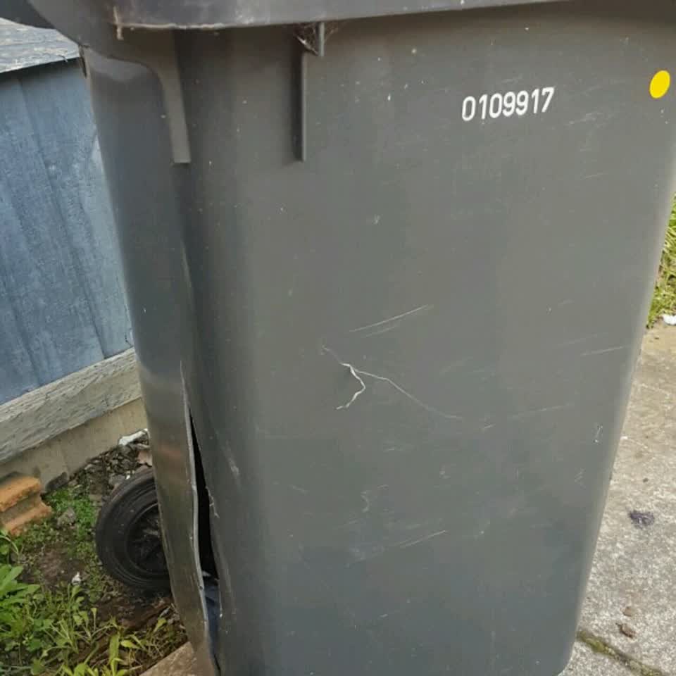 The photograph attached to this rubbish/recycling report