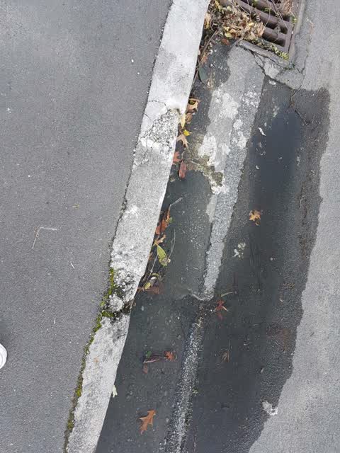 Roading/Streets, a report photo