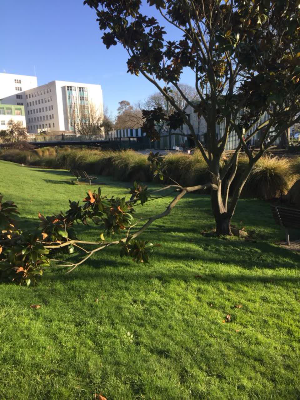 The photograph attached to this parks report