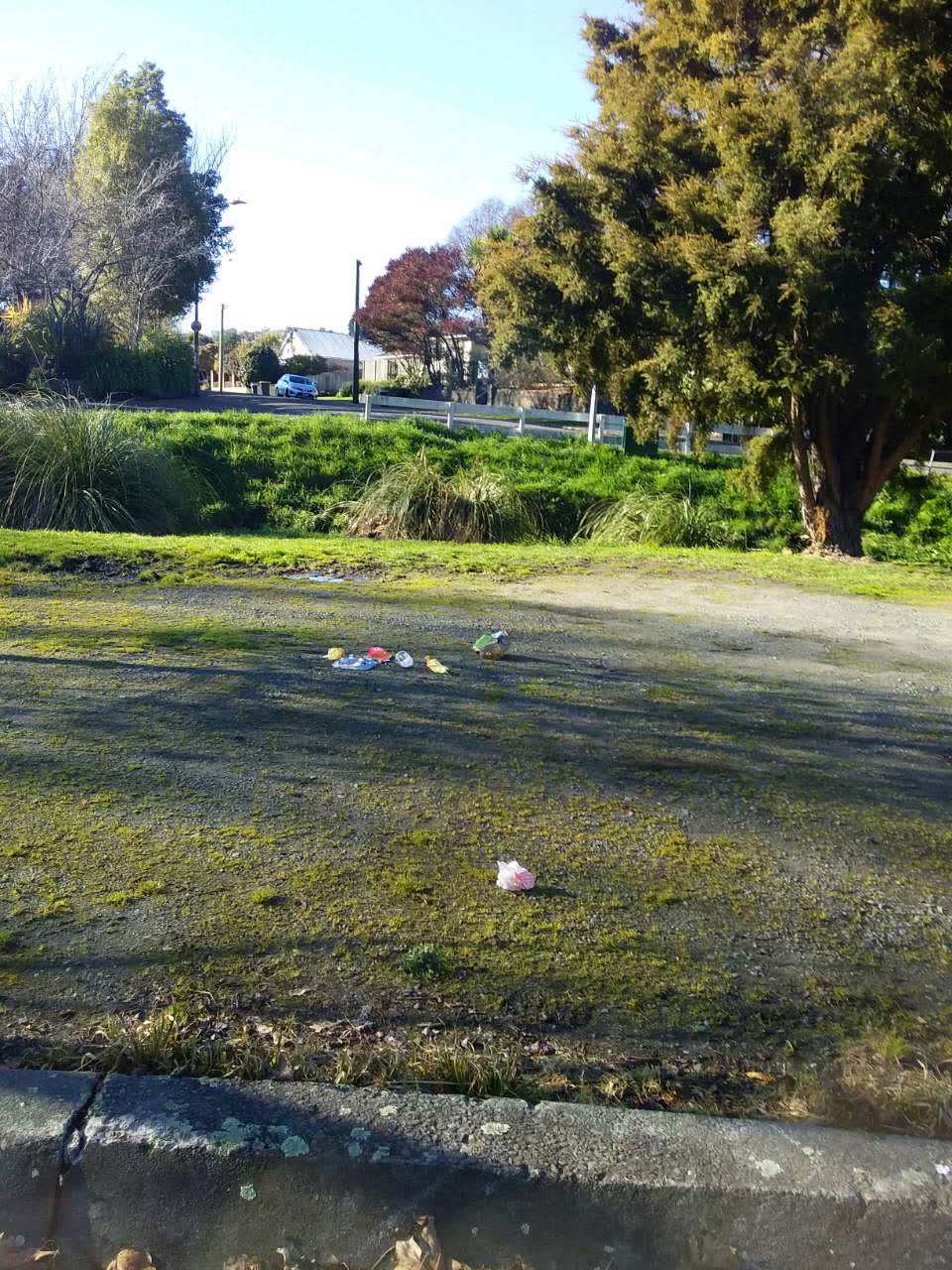 The photograph attached to this rubbish/recycling report
