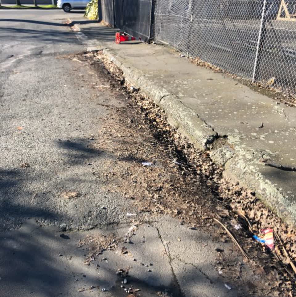 The photograph attached to this roading/streets report