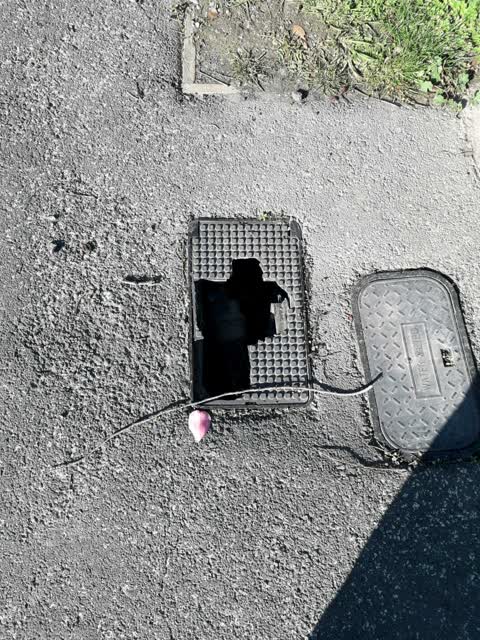 Roading/Streets, a report photo