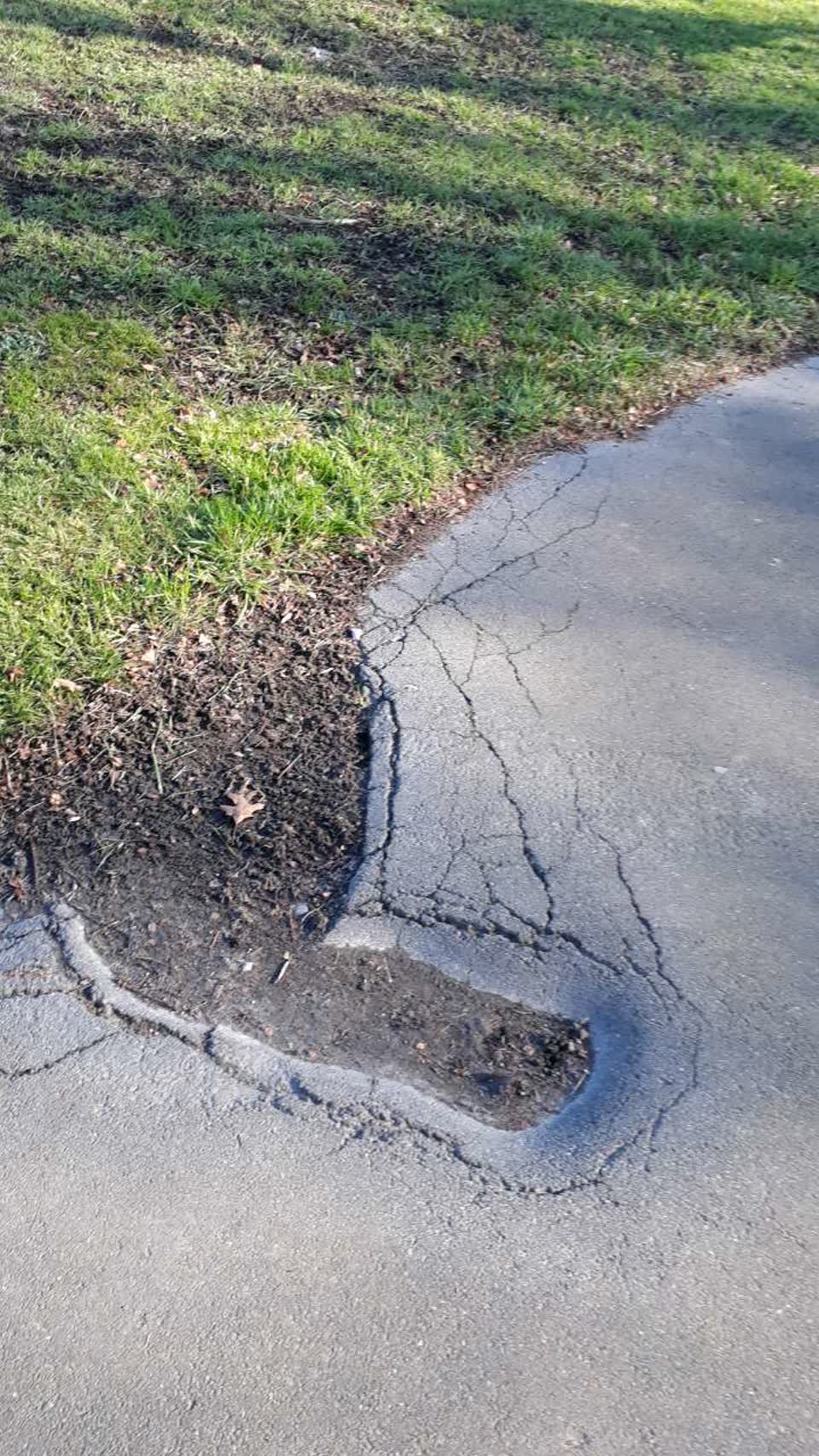 The photograph attached to this parks report