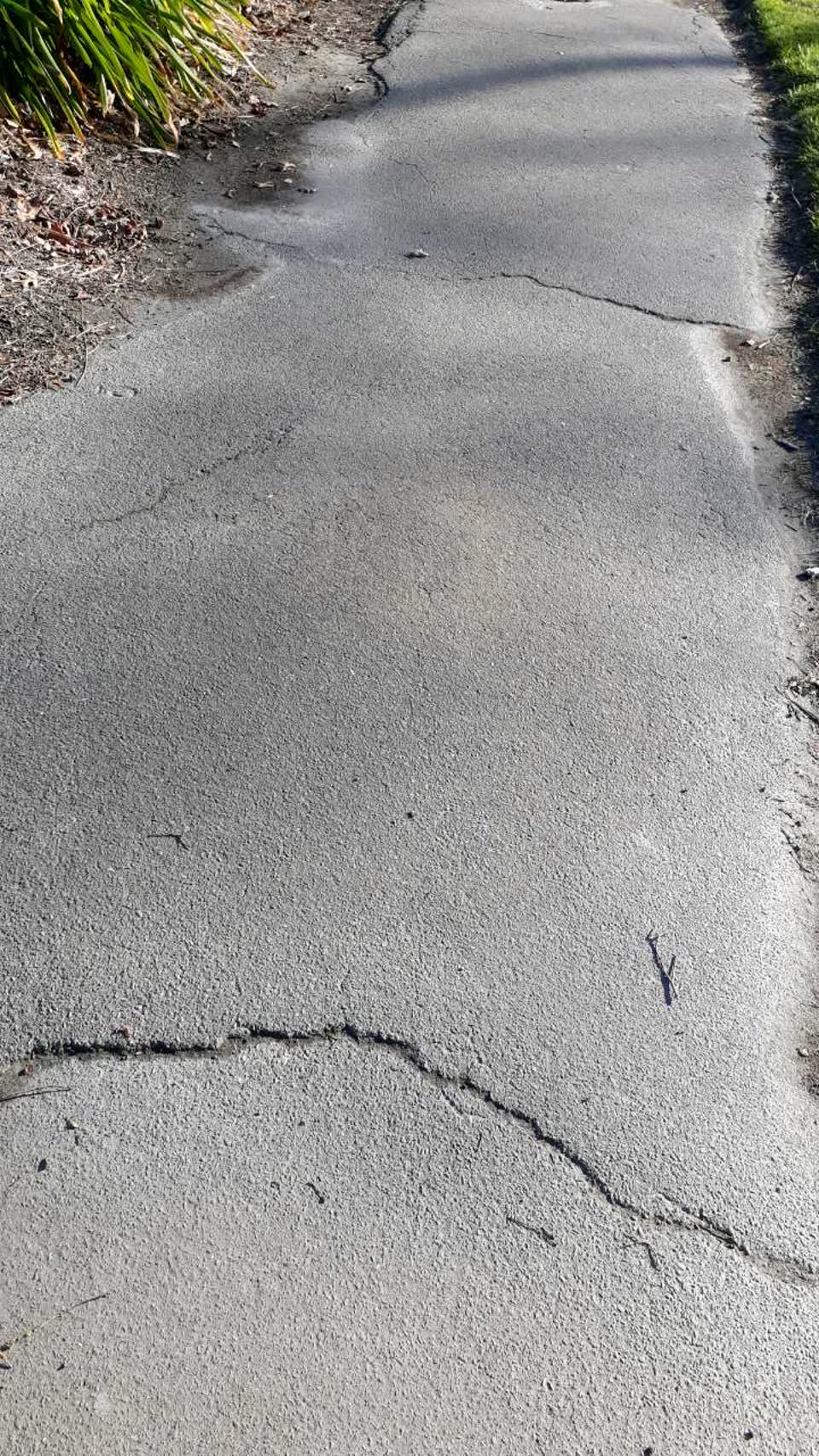 The photograph attached to this parks report