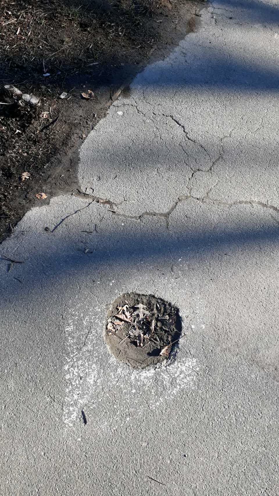 The photograph attached to this parks report