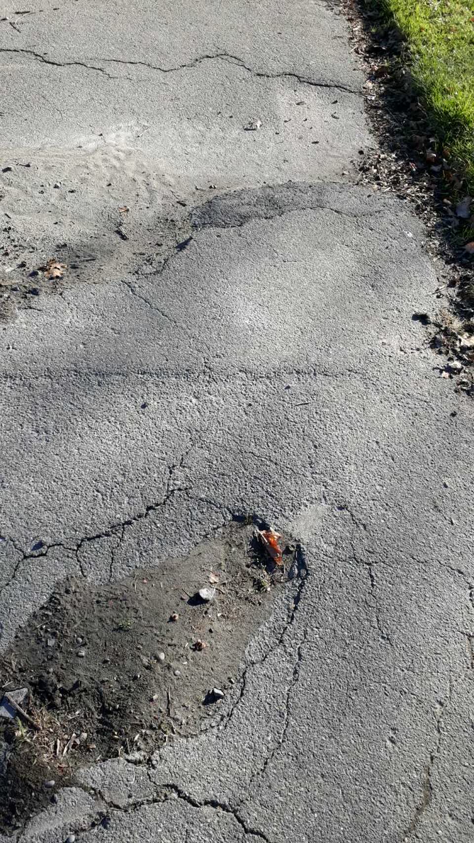 The photograph attached to this parks report