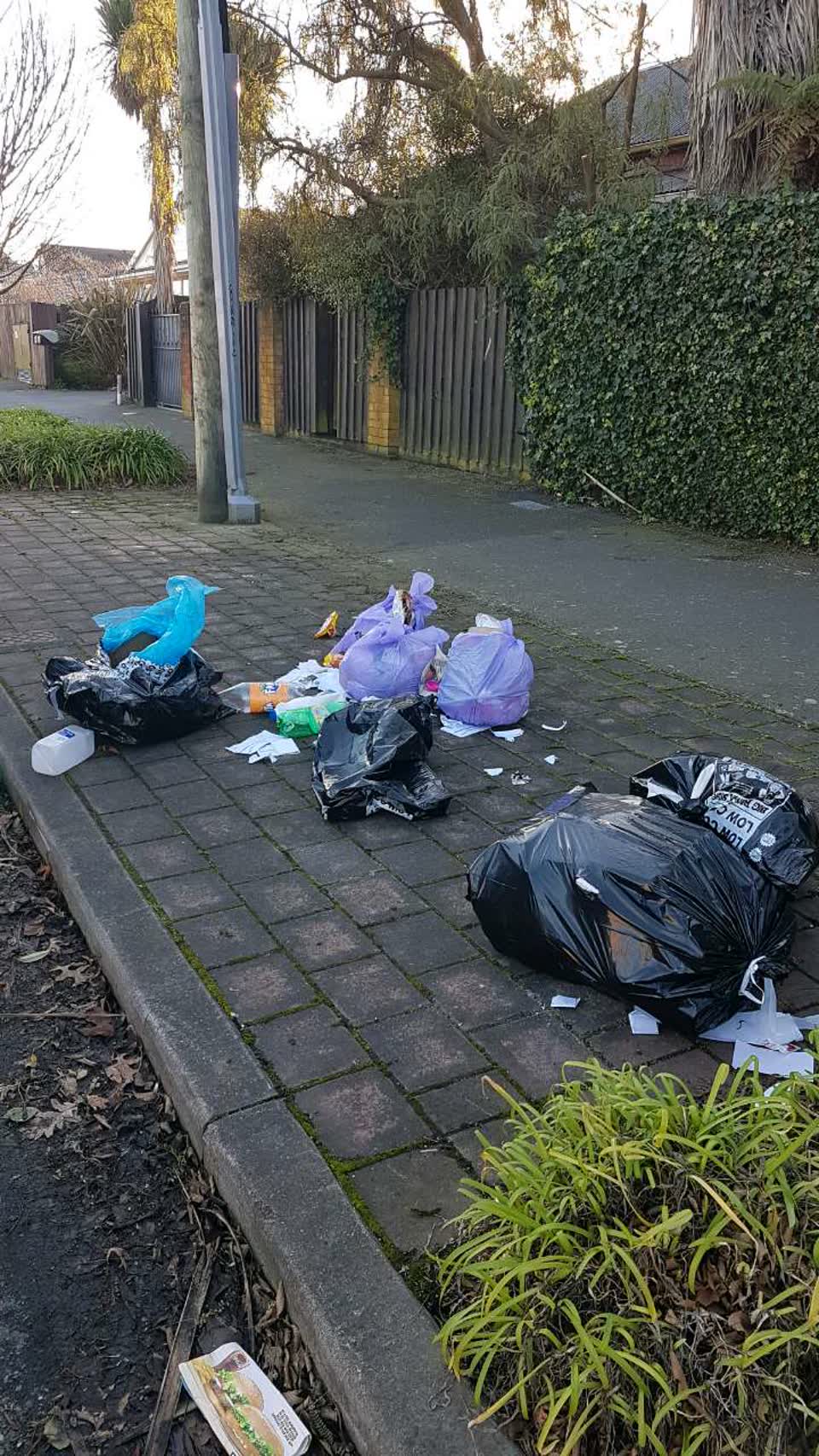 The photograph attached to this rubbish/recycling report