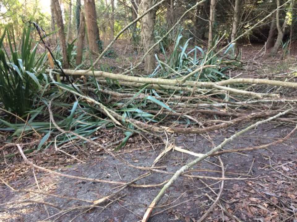 The photograph attached to this parks report
