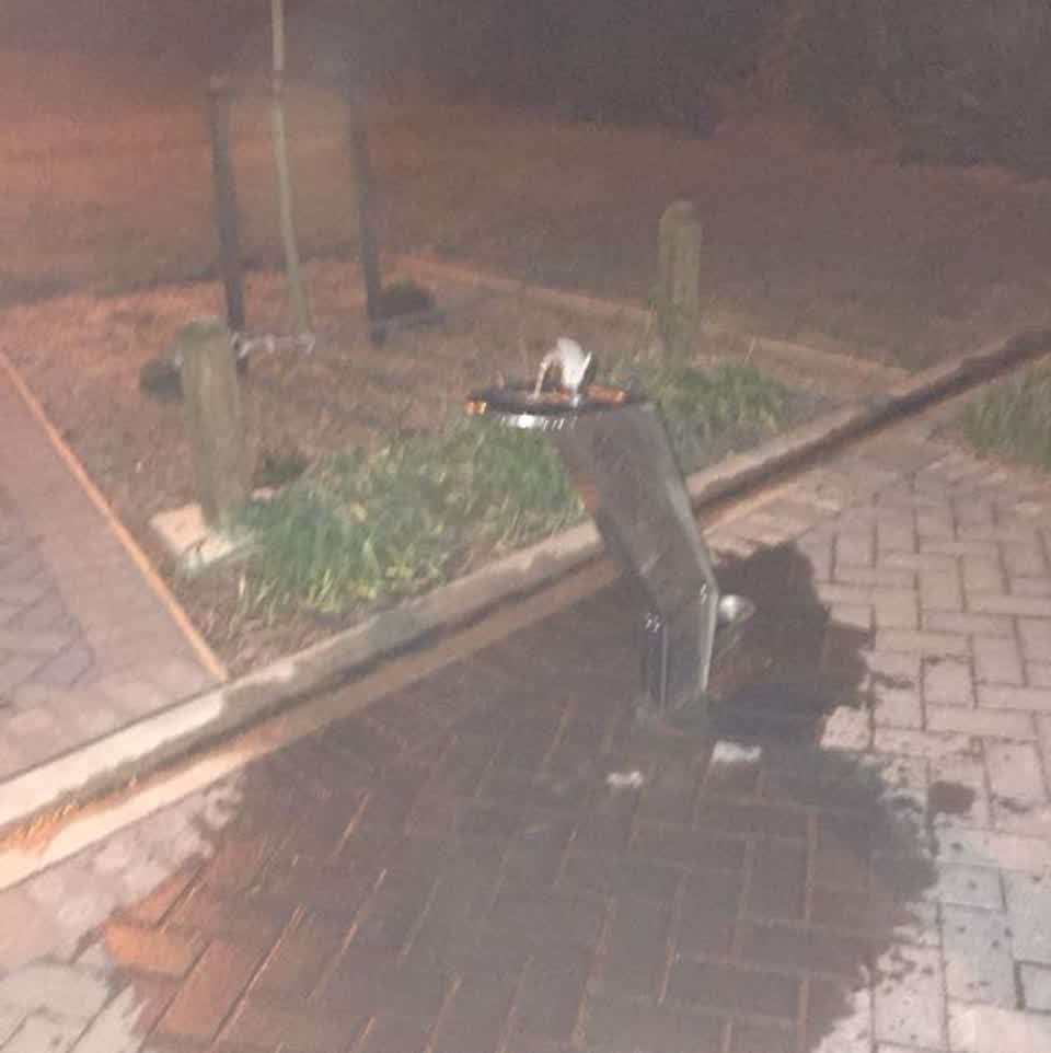 The photograph attached to this parks report